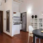 Studio of 40 m² in florence