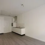 Rent 2 bedroom apartment of 42 m² in Rotterdam