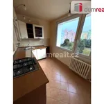 Rent 3 bedroom apartment of 79 m² in Plzeň