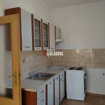 Rent 1 bedroom apartment in Děčín