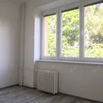 Rent 1 bedroom apartment of 56 m² in Hradec Králové