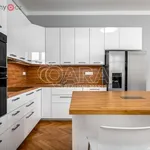 Rent 5 bedroom apartment of 140 m² in Praha