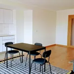 Rent 2 bedroom apartment in Porto