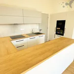 Rent 1 bedroom apartment of 46 m² in Šternberk