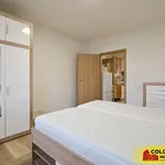 Pronajměte si 3 ložnic/e byt o rozloze 58 m² v Brno