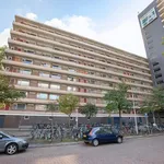 Rent 4 bedroom apartment of 94 m² in Voorhof-Hoogbouw