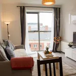 Rent 1 bedroom apartment in dublin