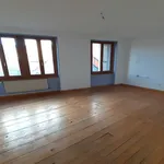  appartement avec 1 chambre(s) en location à Munster