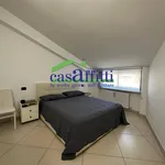 Rent 1 bedroom apartment of 50 m² in chieti