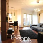 Rent 3 bedroom apartment of 78 m² in Gorzów Wielkopolski