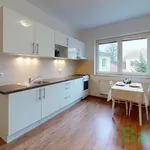 Rent 2 bedroom apartment of 40 m² in Brno