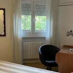 Rent a room in madrid