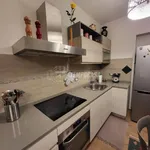 Rent 2 bedroom apartment of 67 m² in Viareggio