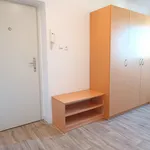 Rent 2 bedroom apartment of 60 m² in České Budějovice