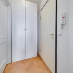 Rent 1 bedroom apartment in Praha 3