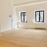 Rent 1 bedroom apartment in Gent