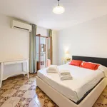 Rent 1 bedroom apartment in Florence