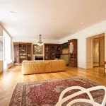 Rent 3 bedroom apartment of 160 m² in Prague