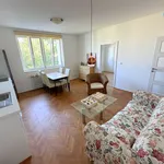 Pronajměte si 2 ložnic/e byt o rozloze 45 m² v Praha