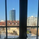 Rent 4 bedroom apartment of 100 m² in Stuttgart