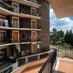 Rent 3 bedroom apartment of 85 m² in Genzano di Roma