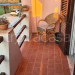 Rent 3 bedroom apartment of 80 m² in Capalbio