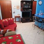 Rent 2 bedroom apartment of 50 m² in Prato