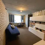 Rent 1 bedroom apartment in Leuven