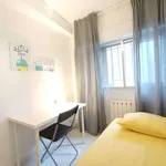 Rent a room in Madrid