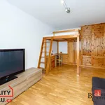 Rent 1 bedroom apartment in Plzeň