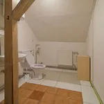 Pronajměte si 3 ložnic/e byt o rozloze 49 m² v Chodov