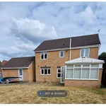 Rent 4 bedroom house in East Midlands