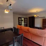 apartment for rent in la zona de Santa Cecilia