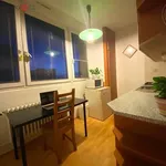 Rent 2 bedroom apartment of 35 m² in Brno-sever