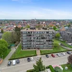 Rent 1 bedroom apartment in SINT-TRUIDEN