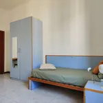 Rent 1 bedroom apartment in milan