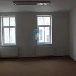 Pronajměte si 1 ložnic/e byt o rozloze 110 m² v Pilsen