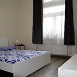 Rent 1 bedroom apartment in Prague