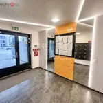 Pronajměte si 2 ložnic/e byt o rozloze 65 m² v Praha