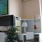 Rent 1 bedroom apartment in milan