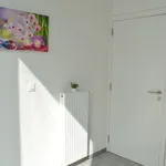 Huur 1 slaapkamer huis in Verviers