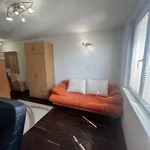 Rent 1 bedroom apartment in Plzeň