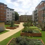 Rent 1 bedroom apartment in Southampton