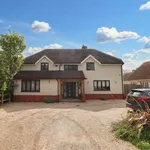 Rent 5 bedroom house in East Of England