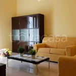 Rent 2 bedroom apartment of 75 m² in Bologna