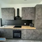 Rent 2 bedroom apartment of 55 m² in Milan