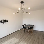 Pronajměte si 3 ložnic/e byt o rozloze 65 m² v cizkovice