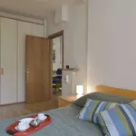 Rent 1 bedroom apartment of 45 m² in bologna