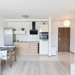 Rent 1 bedroom apartment of 40 m² in Wrocław