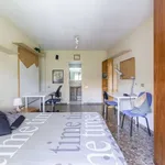 Rent a room in murcia